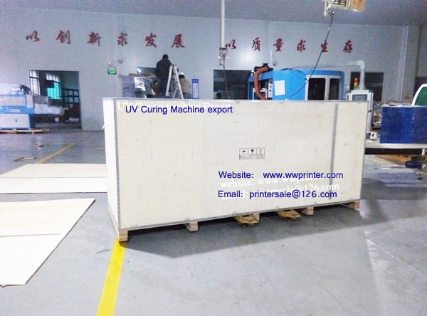 Bottle UV Curing Machine exported